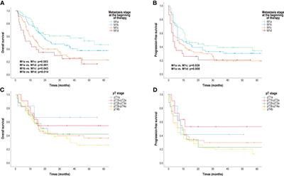 Primary tumour category, site of metastasis, and baseline serum S100B and LDH are independent prognostic factors for survival in metastatic melanoma patients treated with anti-PD-1